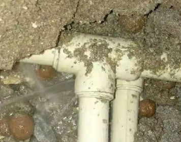 武进测漏水多少钱