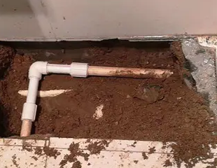 武进测漏水哪家好