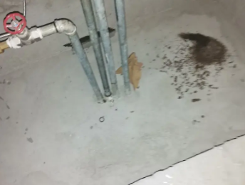 武进卫生间测漏水价格明细