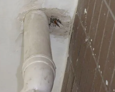 武进漏水检测哪家好